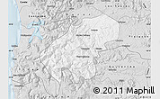 Silver Style Map of Lumaco