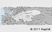 Gray Panoramic Map of Lumaco