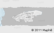 Gray Panoramic Map of Lumaco, single color outside