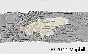 Shaded Relief Panoramic Map of Lumaco, darken, desaturated