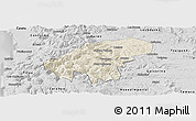 Shaded Relief Panoramic Map of Lumaco, desaturated