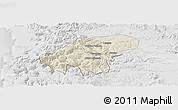Shaded Relief Panoramic Map of Lumaco, lighten, desaturated