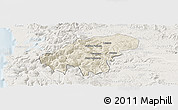 Shaded Relief Panoramic Map of Lumaco, lighten