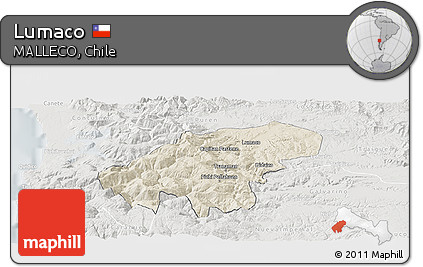 Shaded Relief Panoramic Map of Lumaco, lighten, semi-desaturated