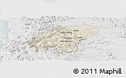 Shaded Relief Panoramic Map of Lumaco, lighten, semi-desaturated