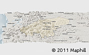 Shaded Relief Panoramic Map of Lumaco, semi-desaturated