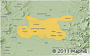 Savanna Style 3D Map of Chillan