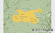 Savanna Style Map of Chillan