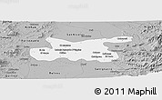 Gray Panoramic Map of Chillan