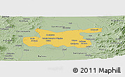 Savanna Style Panoramic Map of Chillan