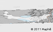 Gray Panoramic Map of Entre Lagos