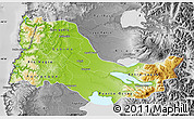 Physical Map of OSORNO, desaturated