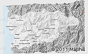 Gray 3D Map of PETORCA