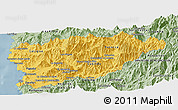 Savanna Style Panoramic Map of PETORCA