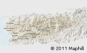 Shaded Relief Panoramic Map of PETORCA, lighten