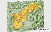 Savanna Style 3D Map of SAN FELIPE DE ACONCAGUA