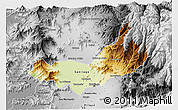 Physical 3D Map of SANTIAGO, desaturated