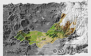 Satellite 3D Map of SANTIAGO, desaturated