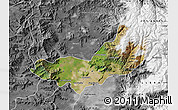 Satellite Map of SANTIAGO, desaturated