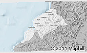 Gray 3D Map of Constitucion