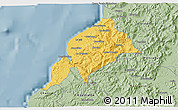 Savanna Style 3D Map of Constitucion