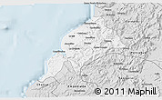 Silver Style 3D Map of Constitucion