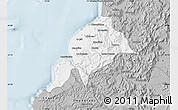Gray Map of Constitucion