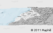 Gray Panoramic Map of Constitucion