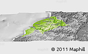 Physical Panoramic Map of Constitucion, desaturated