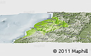 Physical Panoramic Map of Constitucion, semi-desaturated