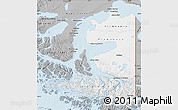 Gray Map of TIERRA DEL FUEGO