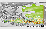 Physical Panoramic Map of TIERRA DEL FUEGO, desaturated