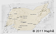 Shaded Relief Panoramic Map of TOCOPILLA, lighten, desaturated
