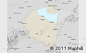 Shaded Relief 3D Map of Lujiang, desaturated