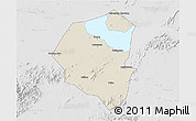 Shaded Relief 3D Map of Lujiang, lighten, desaturated
