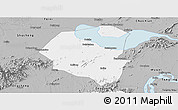 Gray Panoramic Map of Lujiang