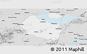 Silver Style Panoramic Map of Lujiang