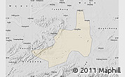 Shaded Relief Map of Nanling, desaturated