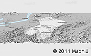 Gray Panoramic Map of Qingyang