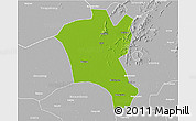 Physical 3D Map of Suixi, lighten, desaturated