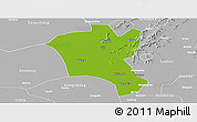 Physical Panoramic Map of Suixi, lighten, desaturated