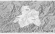 Gray 3D Map of Taiping