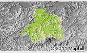 Physical 3D Map of Taiping, desaturated
