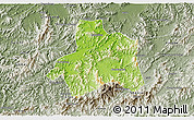 Physical 3D Map of Taiping, semi-desaturated