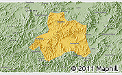 Savanna Style 3D Map of Taiping
