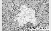 Gray Map of Taiping