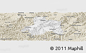 Classic Style Panoramic Map of Taiping