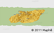 Savanna Style Panoramic Map of Yuexi, single color outside