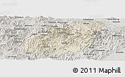 Shaded Relief Panoramic Map of Yuexi, semi-desaturated