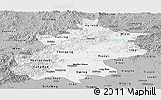 Gray Panoramic Map of Beijing